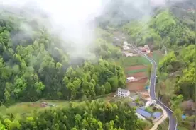 烟波缥缈！雨后黄沙岭云雾飘荡图片