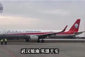 东方快评丨“英雄机长”执飞武汉为防控疫情添信心图片