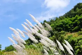 #成都头条#徒步彭州三味禅院～丹景山图片