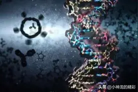 为什么刚挖的水池时间久了就会长出鱼？ 让科学家告诉你答案图片