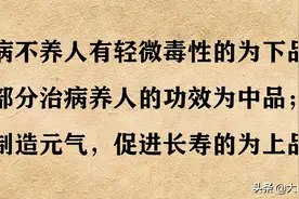 大白话说中医第五十七期｜降血压选对药，头晕心慌全甩掉图片