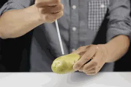 10个让孩子尖叫的物理力学实验图片