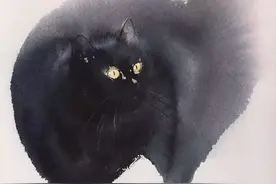 爱画喵：这个老外，尝试中国水墨笔法却画出许多样态的猫图片
