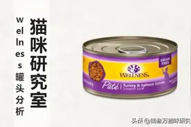 wellness罐头分析，慎买，比德罐贵一倍，但并没有更好图片