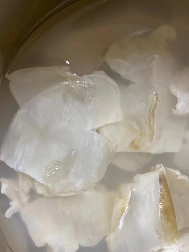 蝴蝶胶怎么泡发 2026年蝴蝶胶怎么泡发快
