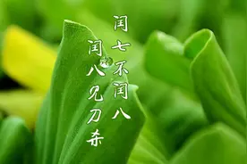 闰七不闰八，闰八过刀杀，为何不能闰八月？2021年闰几月图片