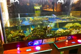 夹娃娃竟然演变成夹龙虾，夹大闸蟹，这神操作图片