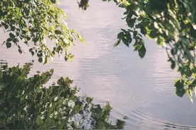 婚前幼稚可爱，婚后成熟稳重的星座男图片