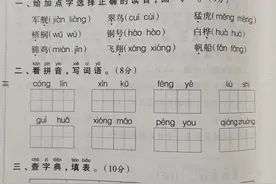 2021年二年级语文（上）第2单元冲刺卷，扣分点多，是难题太多？图片