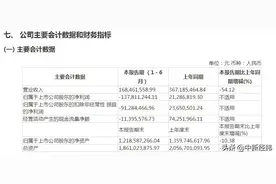 涉嫌信披违规 ST威龙被证监会立案调查图片