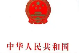 法律不保护躺在权利上的休眠者，民诉第二百条再审事由及理解适用图片