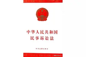 法律不保护躺在权利上的休眠者，民诉第二百条再审事由及理解适用图片