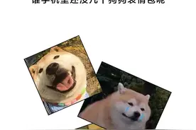 “狗”新闻频上头条，背后是该管的人图片