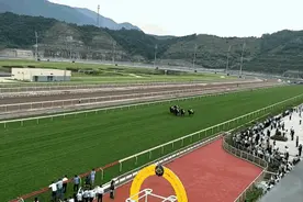 打造世界级穗港赛马产业经济圈，广州从化马场又有新动作！图片