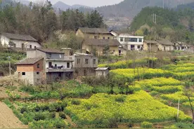 农村俗语“家中想要富，屋里放四物”，说的是哪四物？有道理吗？图片