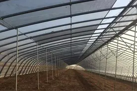 新型温室大棚建设骨架具备哪些技术优势？图片