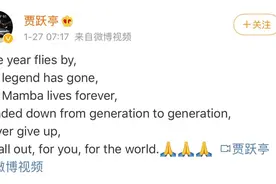 FF落地珠海引猜想，贾跃亭回国有戏？图片