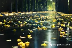 《书香长安》经典诵读——《最苦与最乐》图片