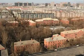 沈阳人，鸡架杀手图片