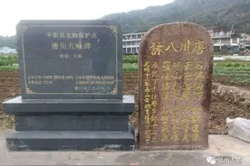温州平阳塘川八景环线徒步，风景如画踏春正当时图片