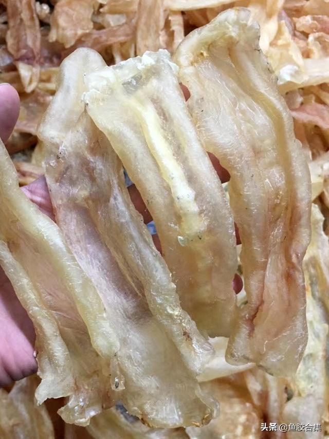 越南白花胶功效及图片 2026年越南白花胶的功效与作用