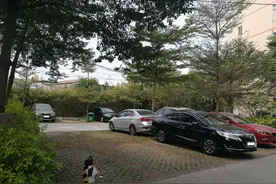 「第一次拍卖」广东省佛山市张槎四路11号201房（宅基地）图片