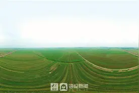 重点工作攻坚｜以“专家”为基 乡村振兴“人才”高楼落户在德州平原图片