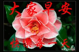 伤过，痛过，但一直都笑着；输过，败过，但从来没怕过，早安图片