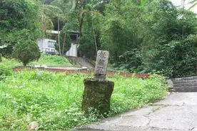 2003年杜月笙墓地：无人打扫、破败不堪，青苔爬满了走道图片