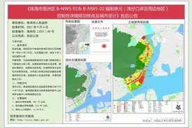 湾仔口岸及周边地区控规批后出炉！27所学校！人行隧道至澳门图片