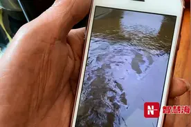杉杉公司废焦油渗漏，致沿线河道污染，已被停产整顿图片