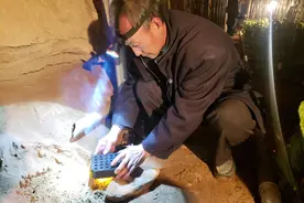 棚暖心更暖！古浪县多措并举做好冬季大棚防冻工作图片