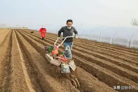 “封村”第七天，农民们真的闲不住，春土豆种植忙！一片繁忙景象图片