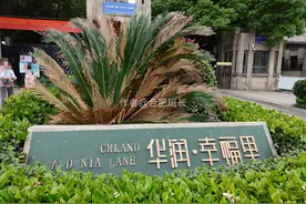 二环内地铁口1.6万起，实探蜀山区50中望江路的华润幸福里图片
