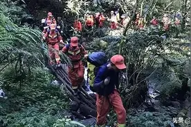 耗时40个小时，哀牢山遇难的4名地质调查员“魂归故里”图片