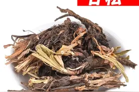 中药古今研究：甘松图片