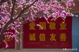 公园一样的校园——河西学院图片