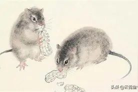 鼠年真的不吉利？看看120年来鼠年发生的事，你就全明白了图片