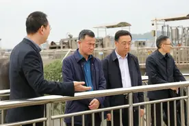 省住建厅副厅长张泽民调研达州住建领域生态环保及房屋安全隐患排查整治工作图片