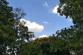 兴宁16岁烈士朱振汉写给母亲的遗书图片