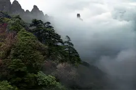 童话里才有的森林，我相信很多人都不知道图片