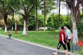 “五一”假期首日，海珠湖迎“生态五一”图片