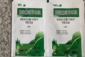 庄稼地里杂草丛生，如何正确选用除草剂？三点需分清图片