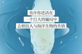 为什么建议你别带孩子去海洋馆？看完你还会去吗？图片