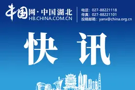 咸宁市最新人事任免！新任命一名副市长图片