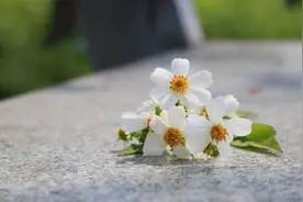 爱一个人，越慢越好；离开一个人，越快越好图片