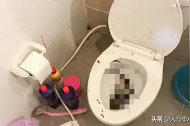 防不胜防！男子在家中如厕被蛇咬中下体，抽水马桶里会钻出蛇吗？图片
