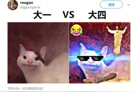 如何分辨大一和大四学生？简直太真实了图片