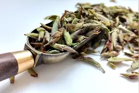 夏天不想喝热水 喝什么茶好呢？图片