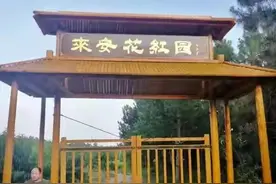 俗话说：桃子饱人杏伤人，唯有花红最养人，产自滁州，你吃过吗？图片